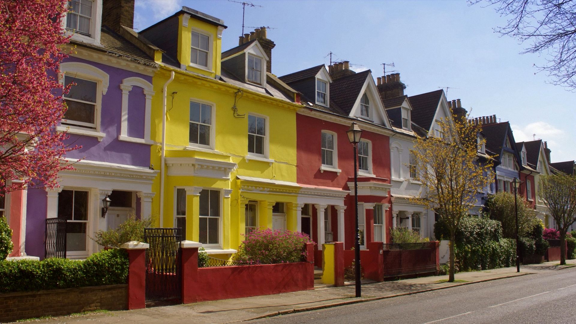 A street of brightly painted townhouses under cherry blossom on a sunny morning